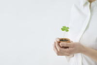 �����������������C���[�W